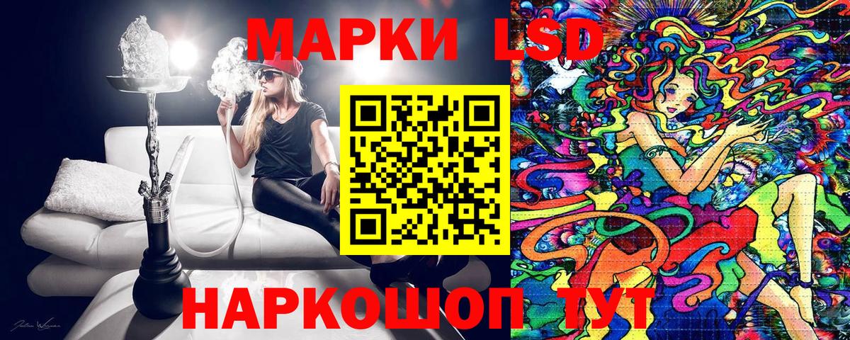 Наркотические марки  Вход с VPN  Заводоуковск  Марки N-bome 1500мкг 