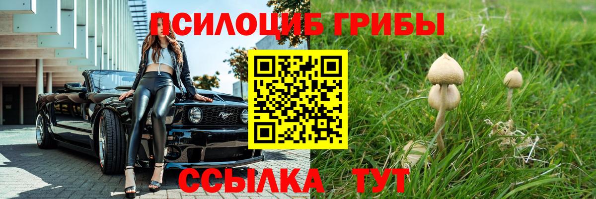Галлюциногенные грибы Cubensis  Вход с VPN  Заводоуковск 