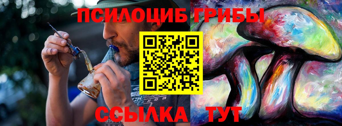 Галлюциногенные грибы Magic Shrooms Заводоуковск